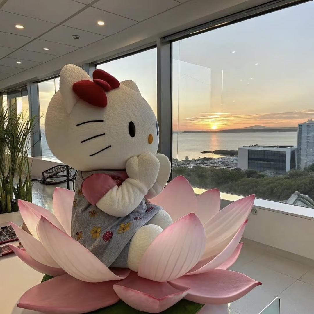 知知.
