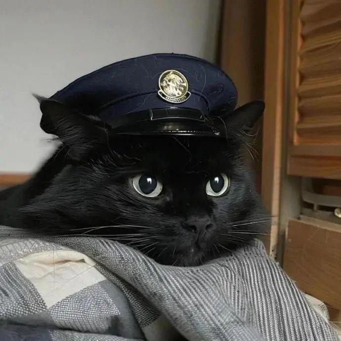 嘻嘻哈哈(❁´ω`❁)