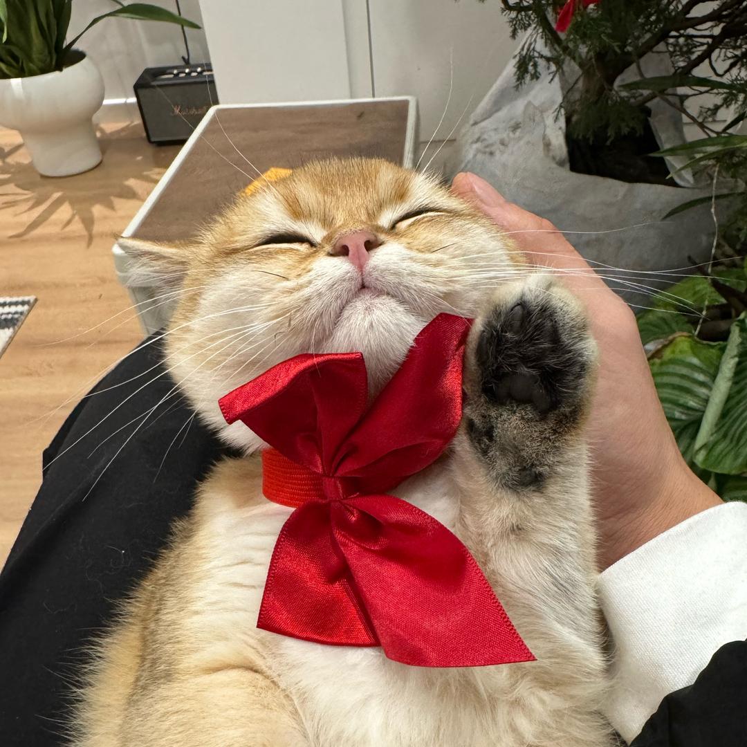 深蓝同学