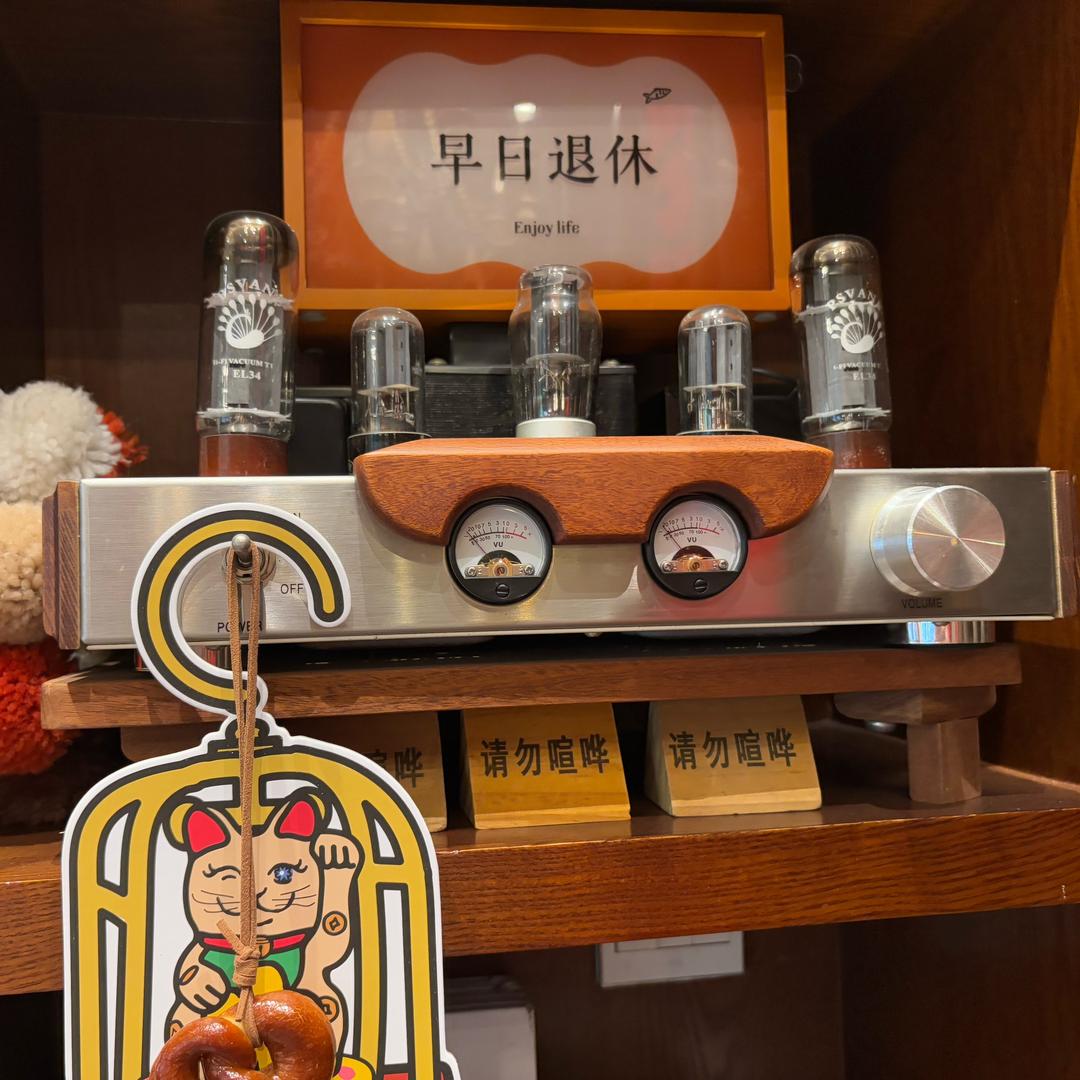 爱丽丝别梦游