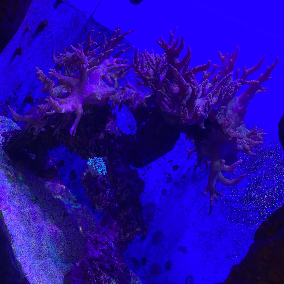 语曙百货
