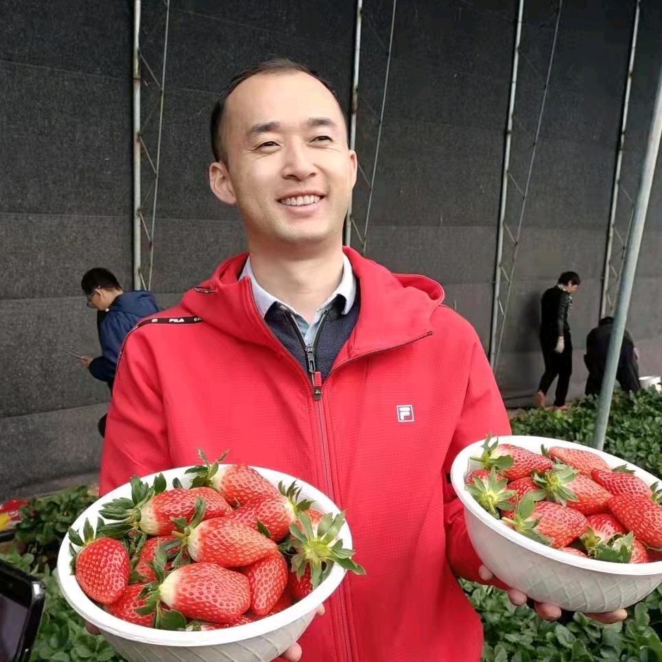 庆哥说草莓