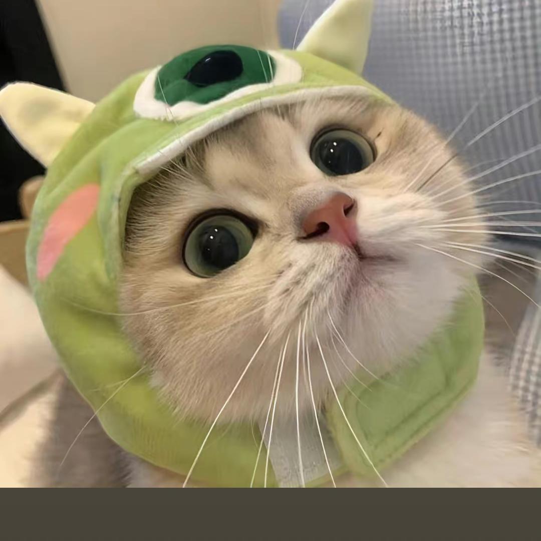 小宝.：