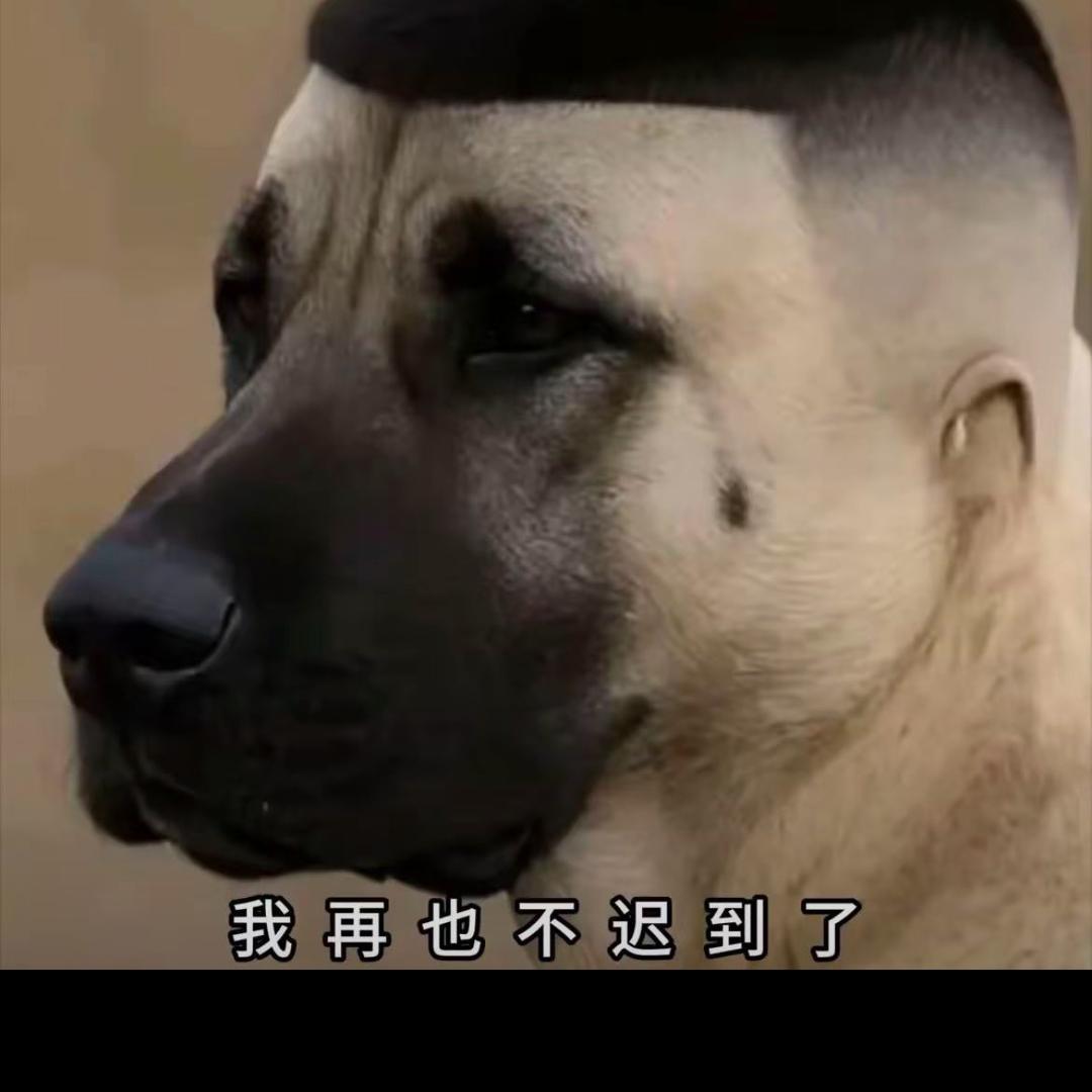 🌈若柠⁹⁹⁹⁹⁹