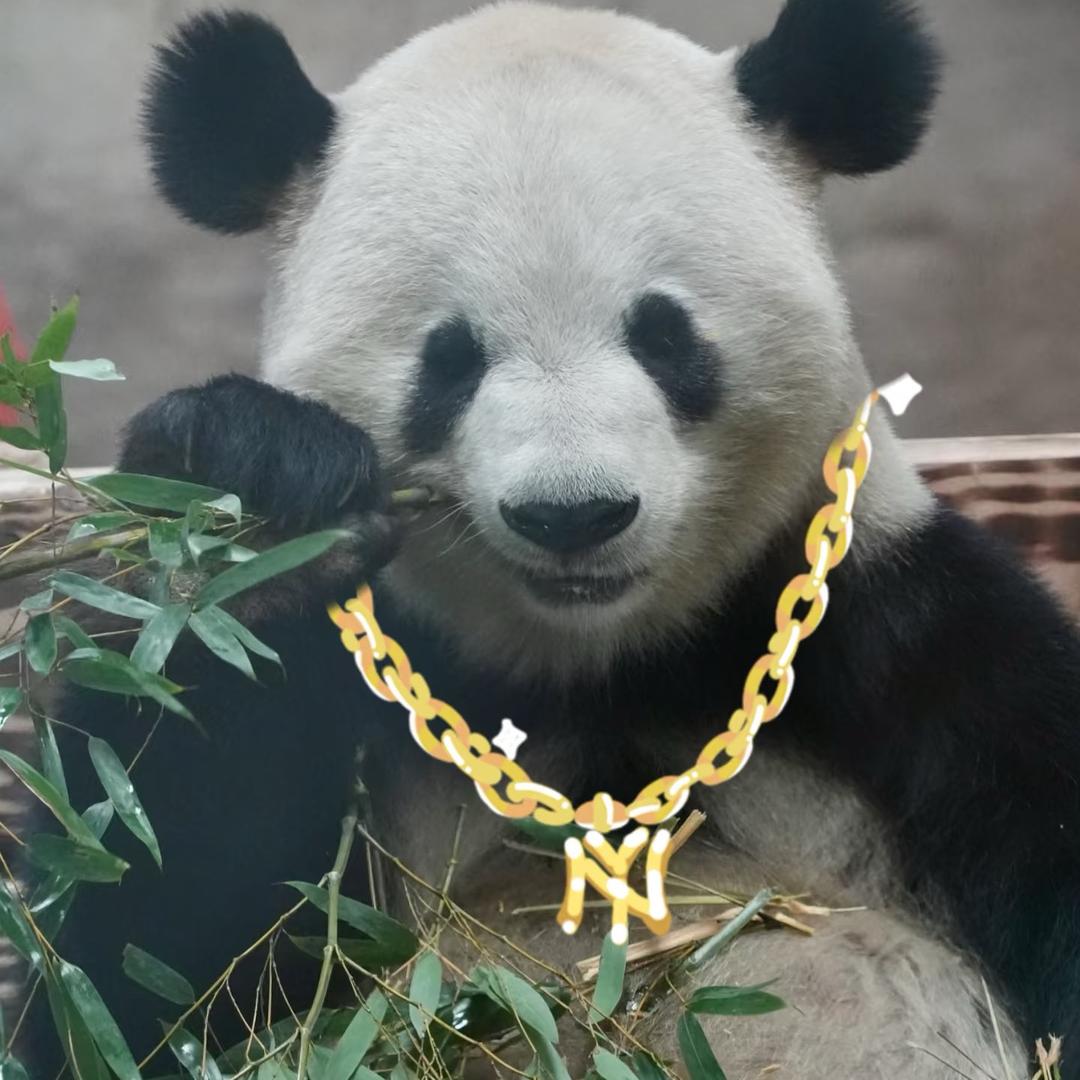胖哒奶爸