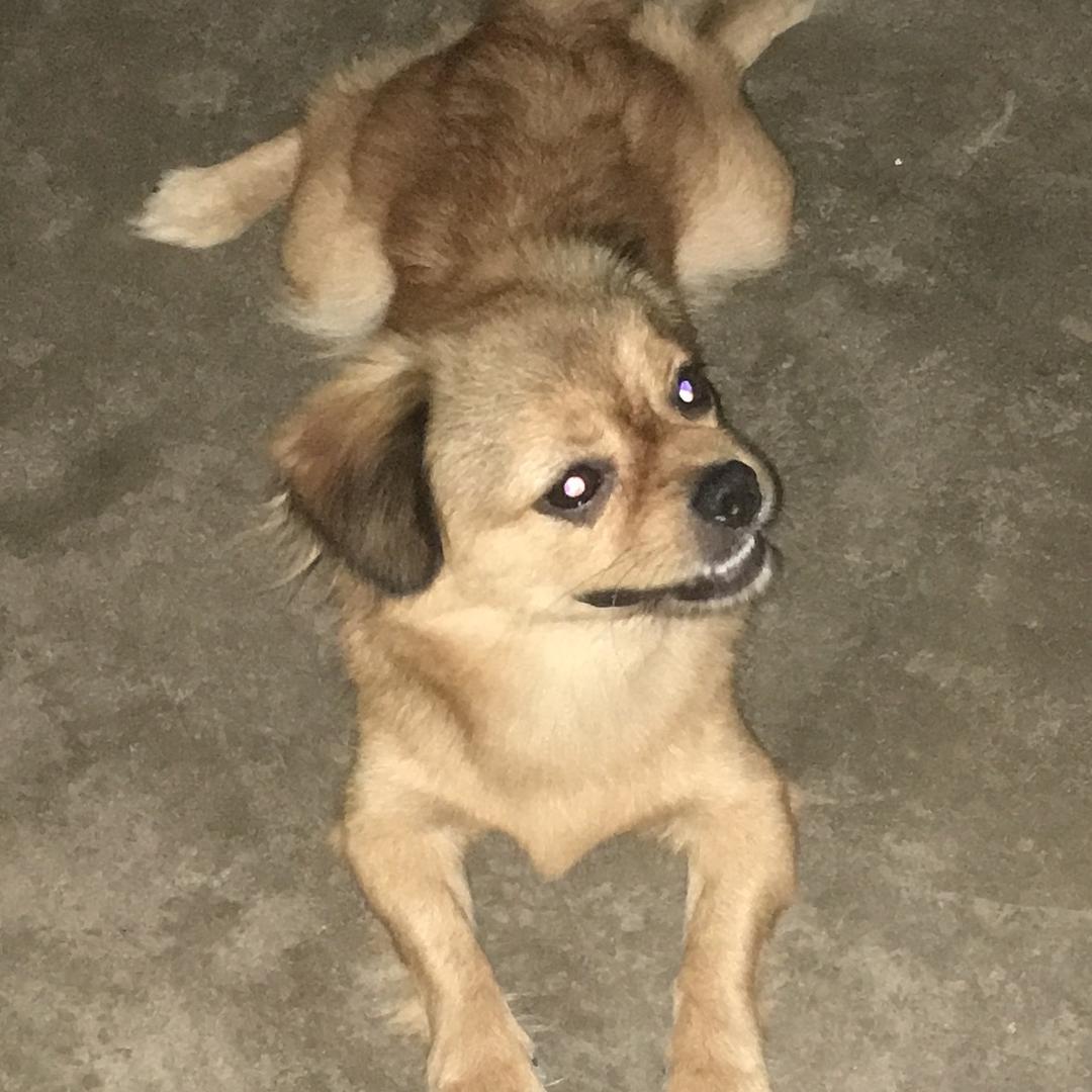 交给时间头像