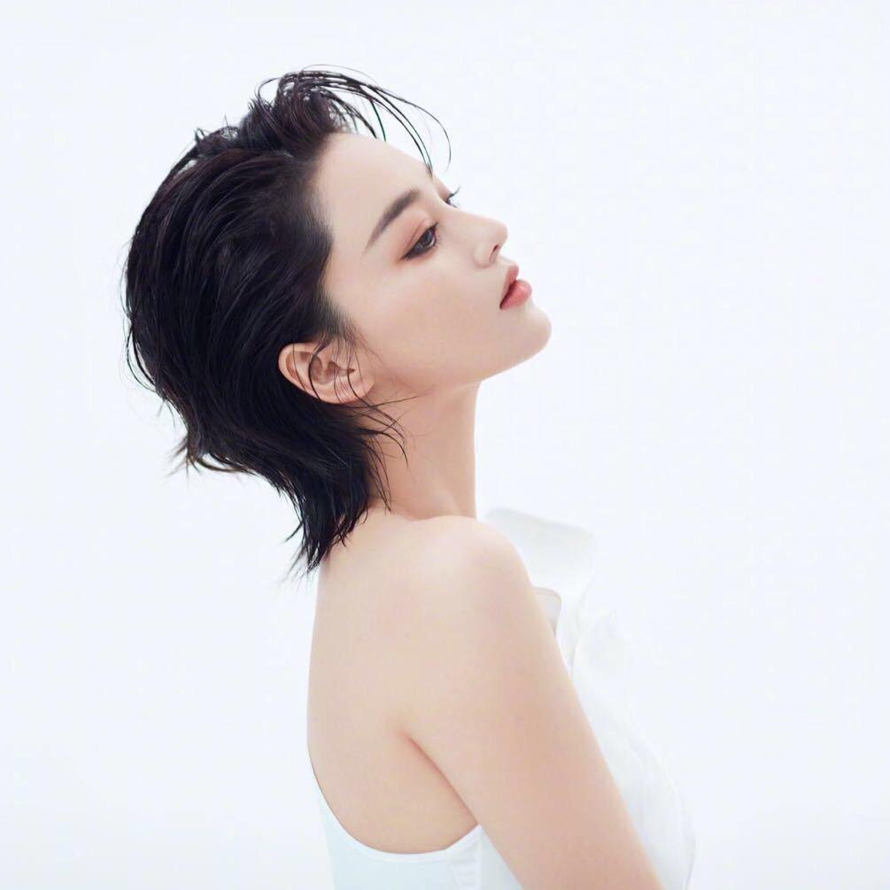 喵喵CHEN