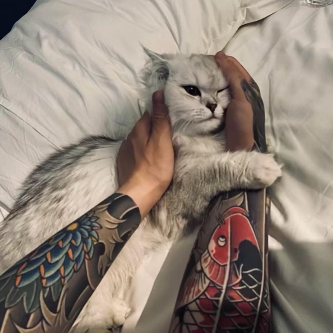 熊猫panda.