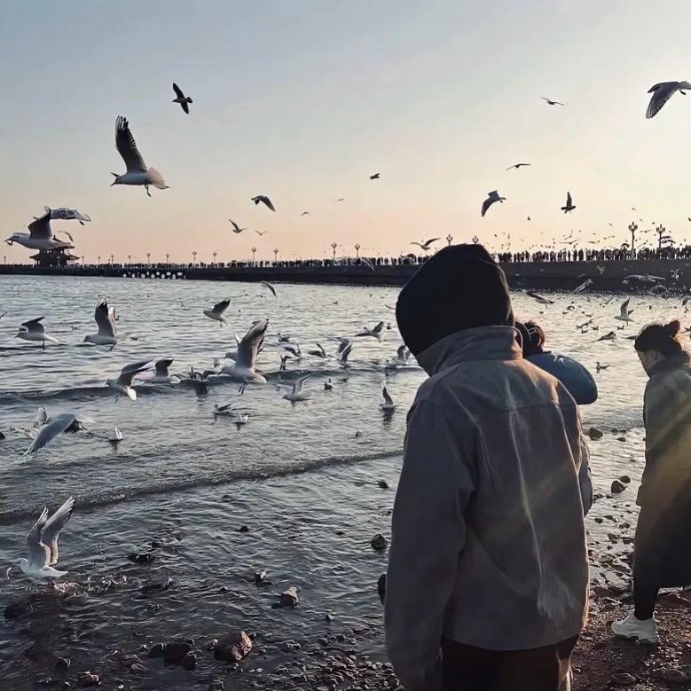 北纬23°