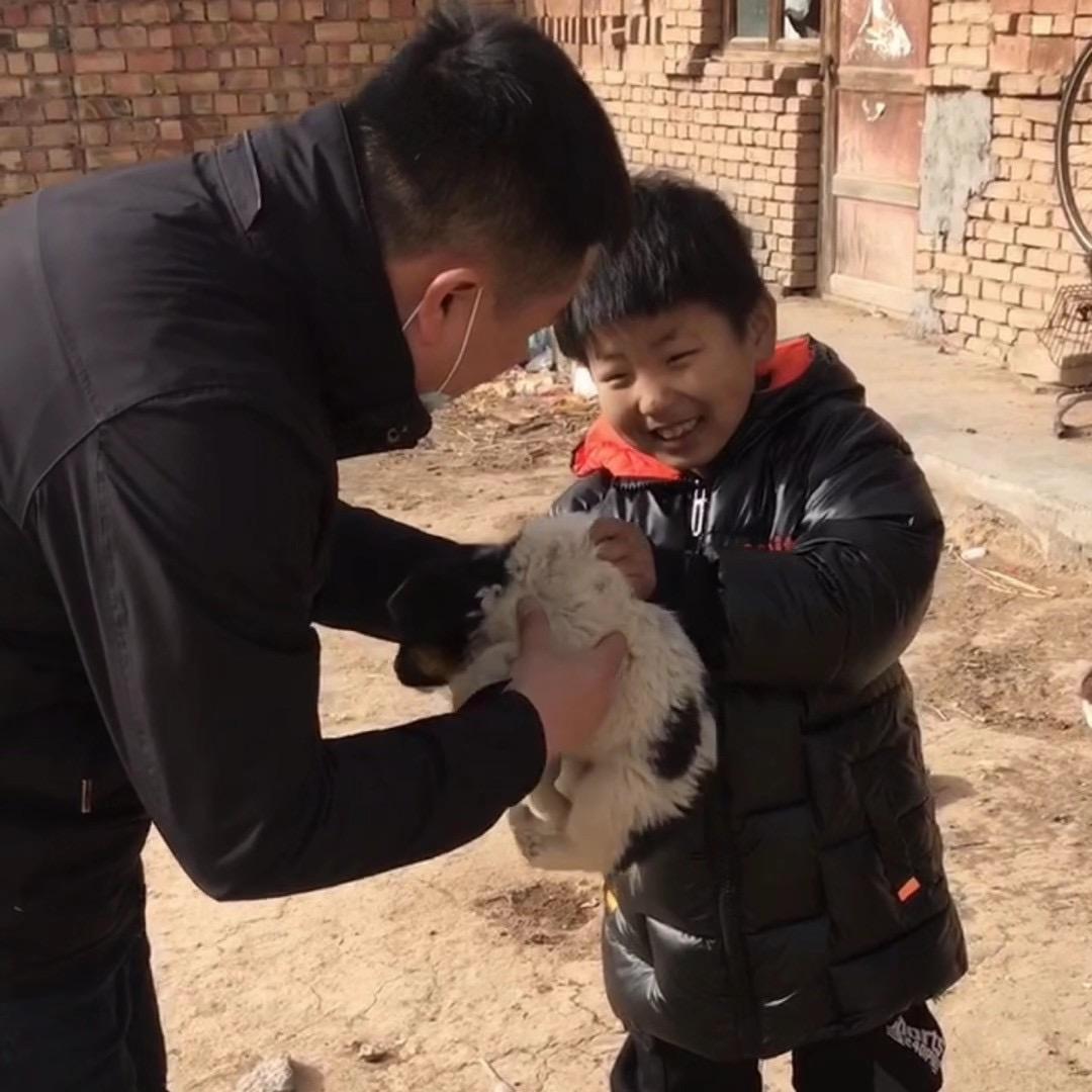 狗蛋儿