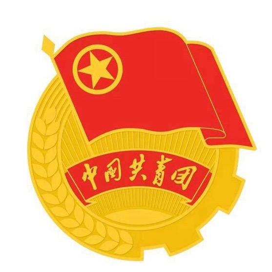 山东职业学院团委