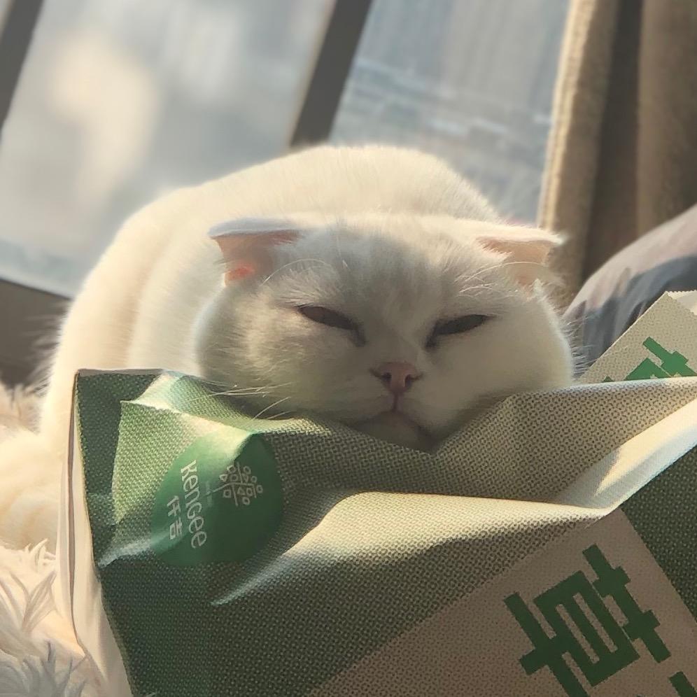 好吗 好的