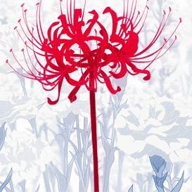 一缕青烟似梦境