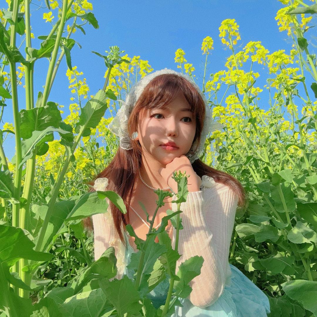 扶光☀