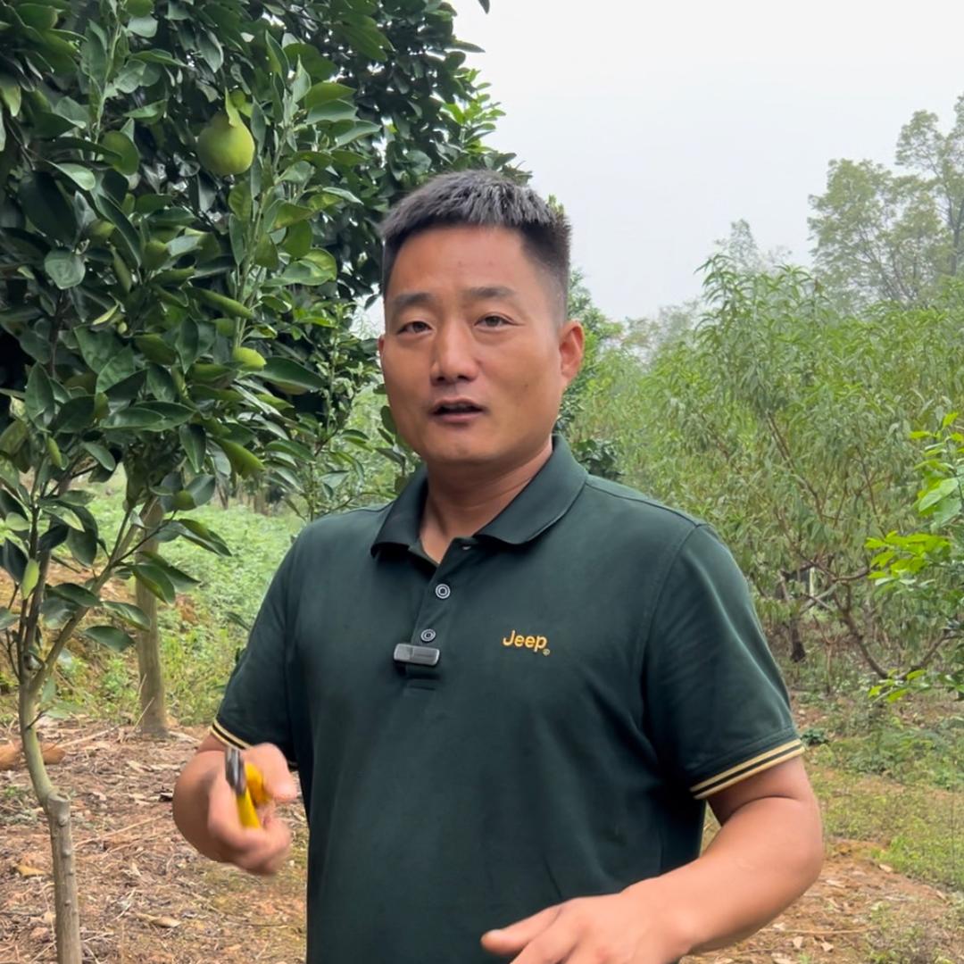 文浩果蔬专营店