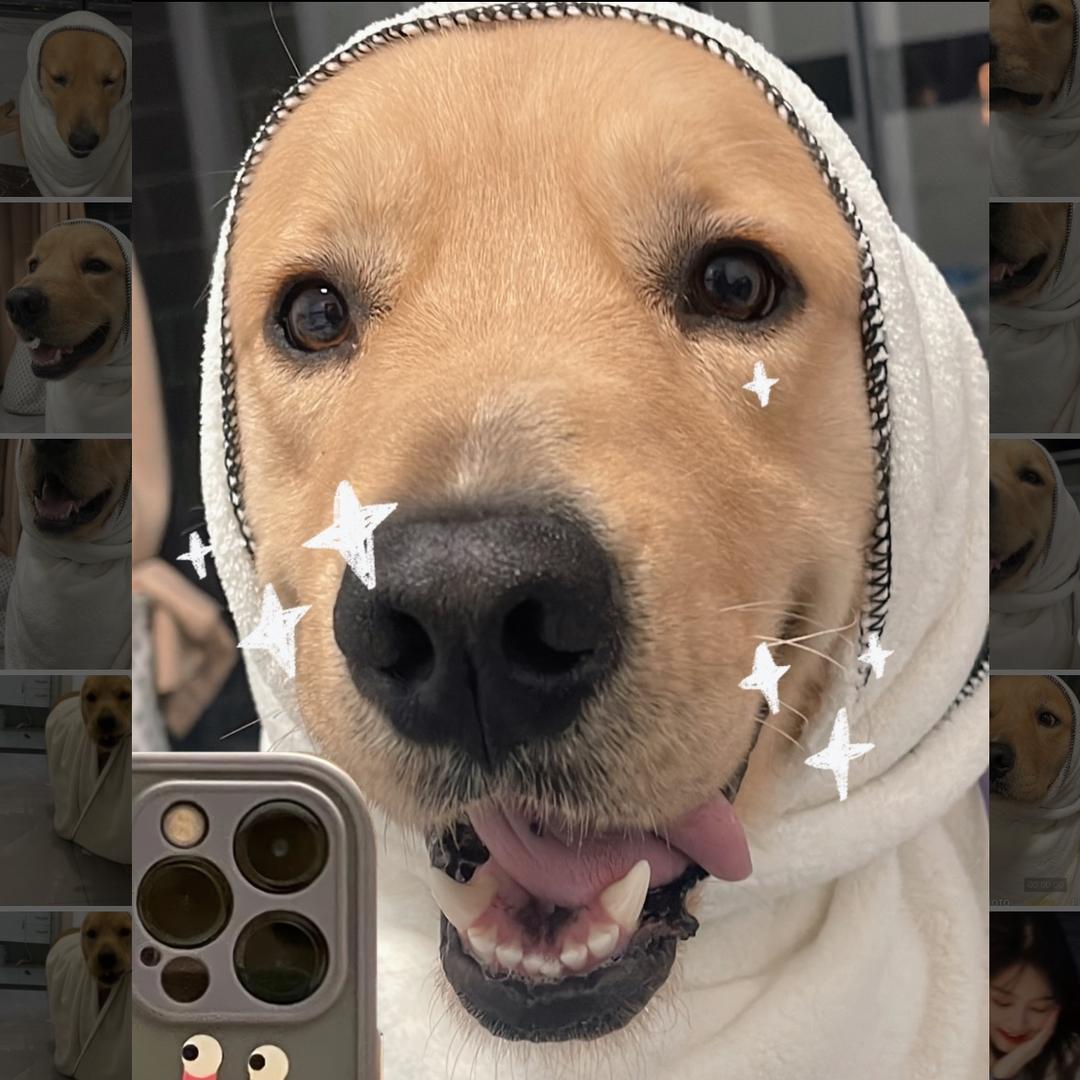 钱多多🐶