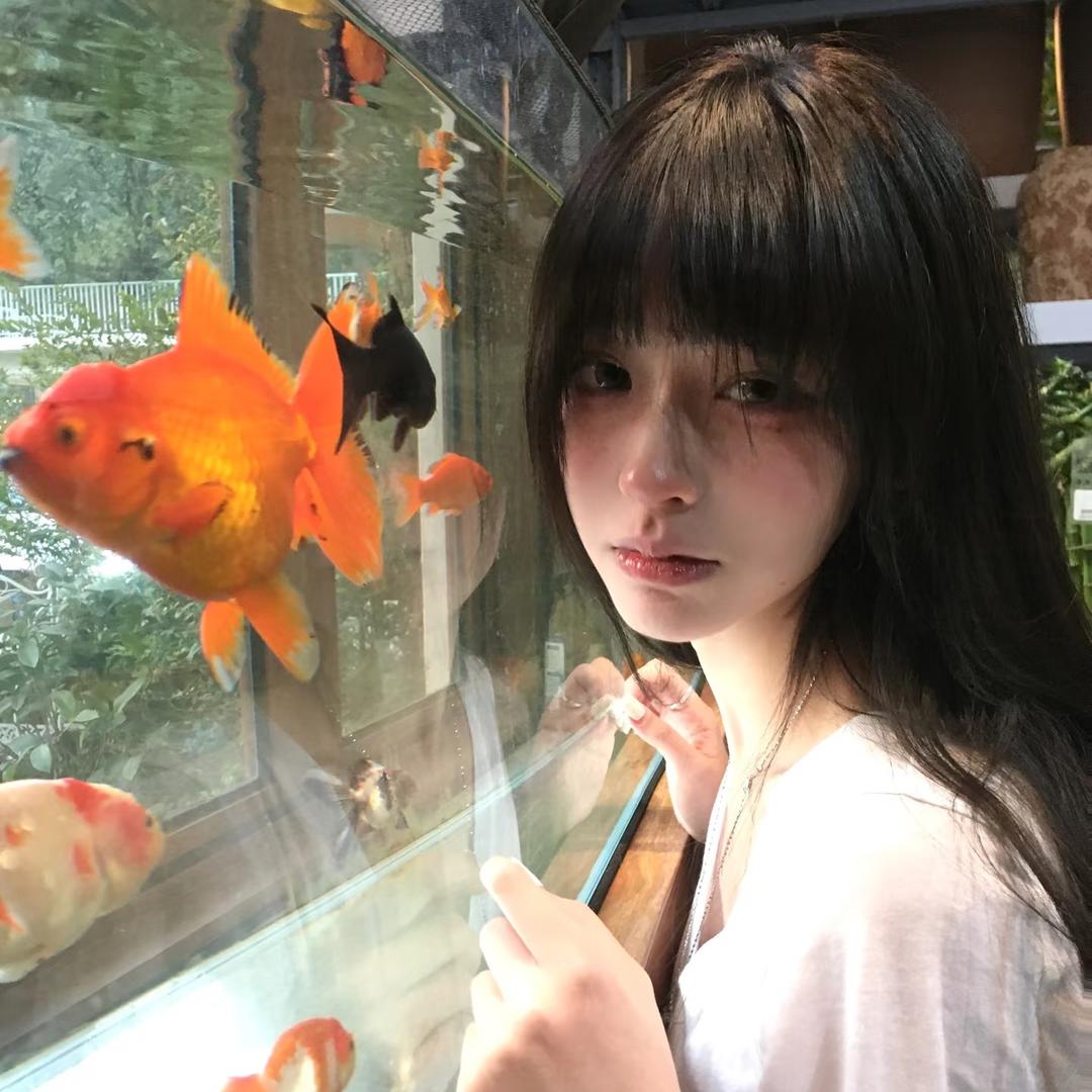 妙趣衣橱