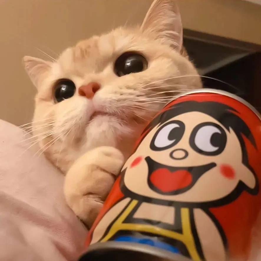 黑鼠