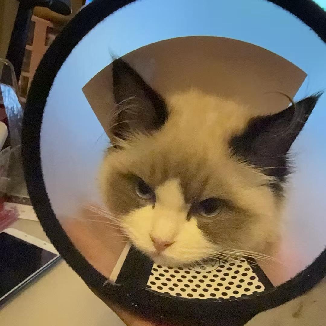 JixY