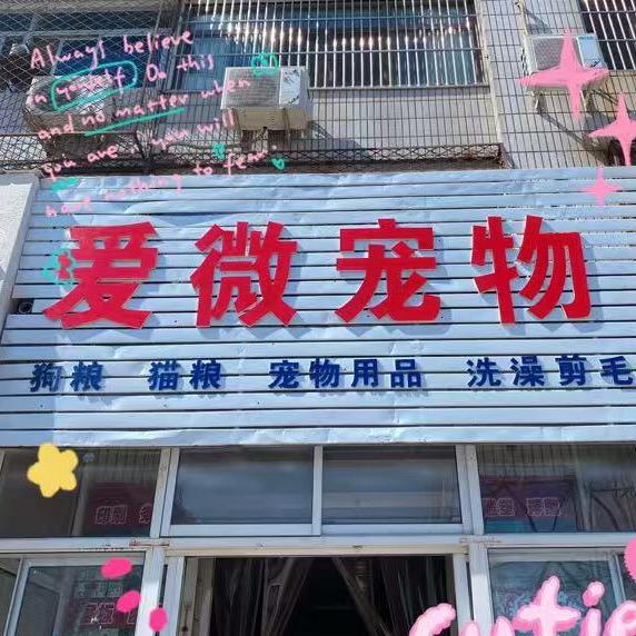 🐈“爱微宠物”🐈