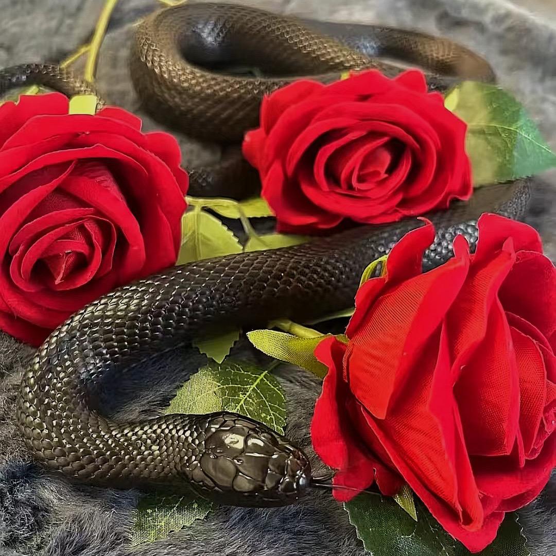 v我一根雪糕给你看爬宠