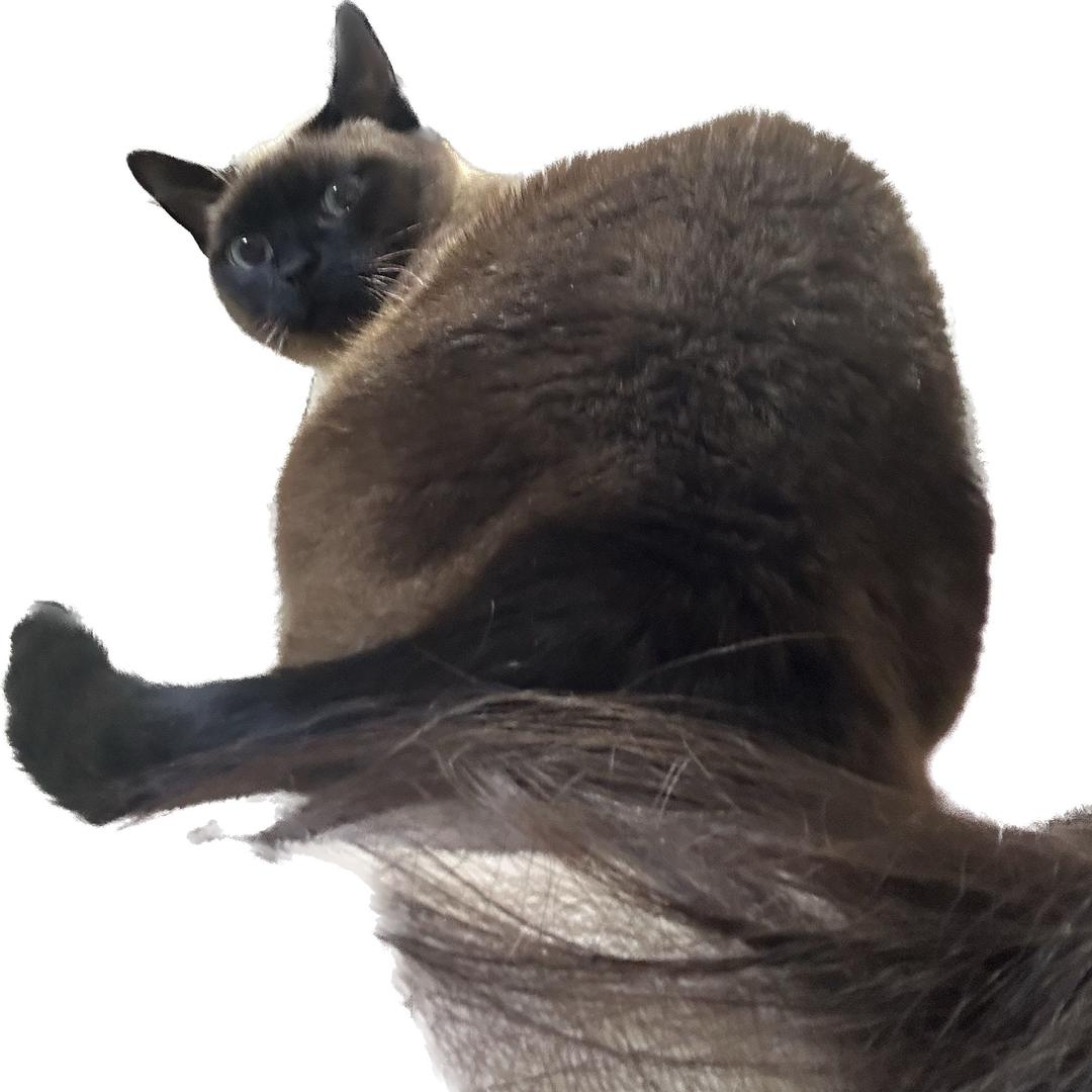 鑫淼澄全码轻奢女装店