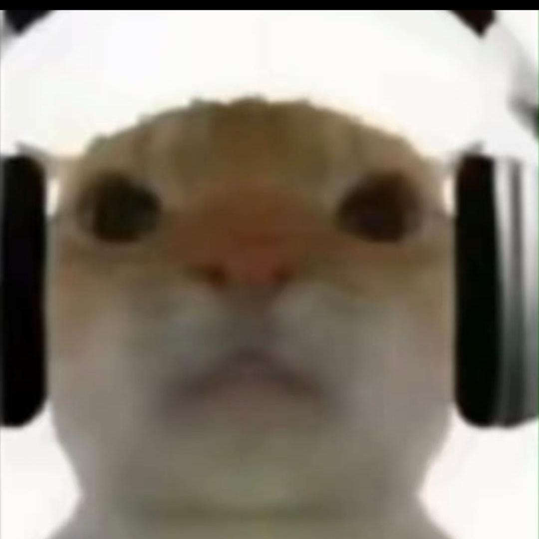 茶