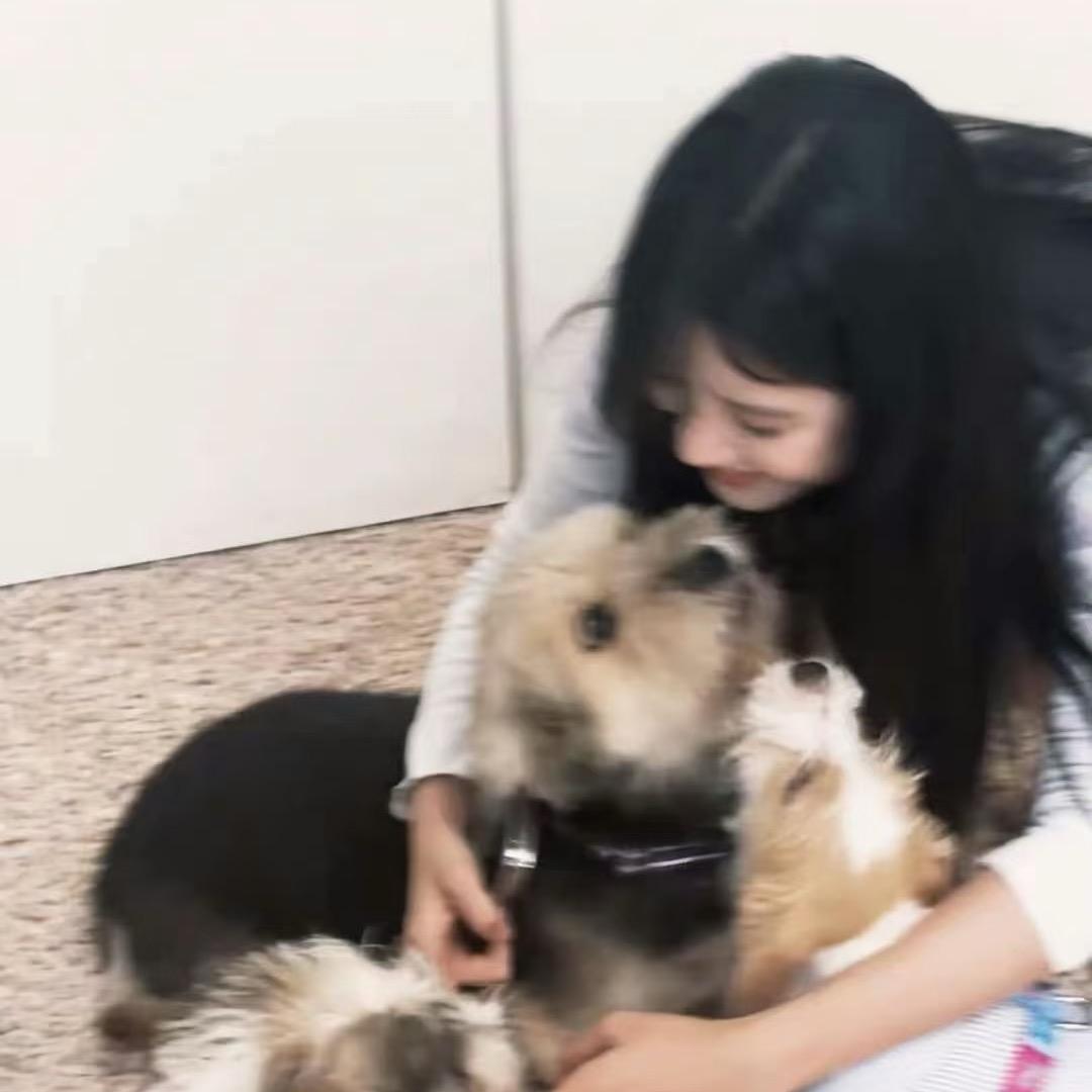 一只驼