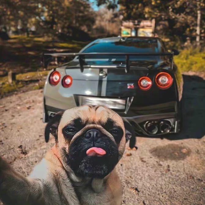 恋恋不佘    💒