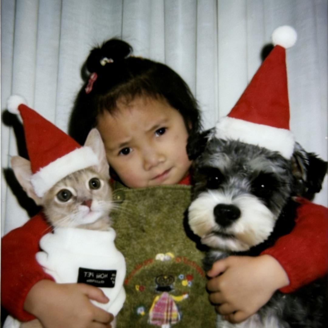 LK88（猫狗双全版）