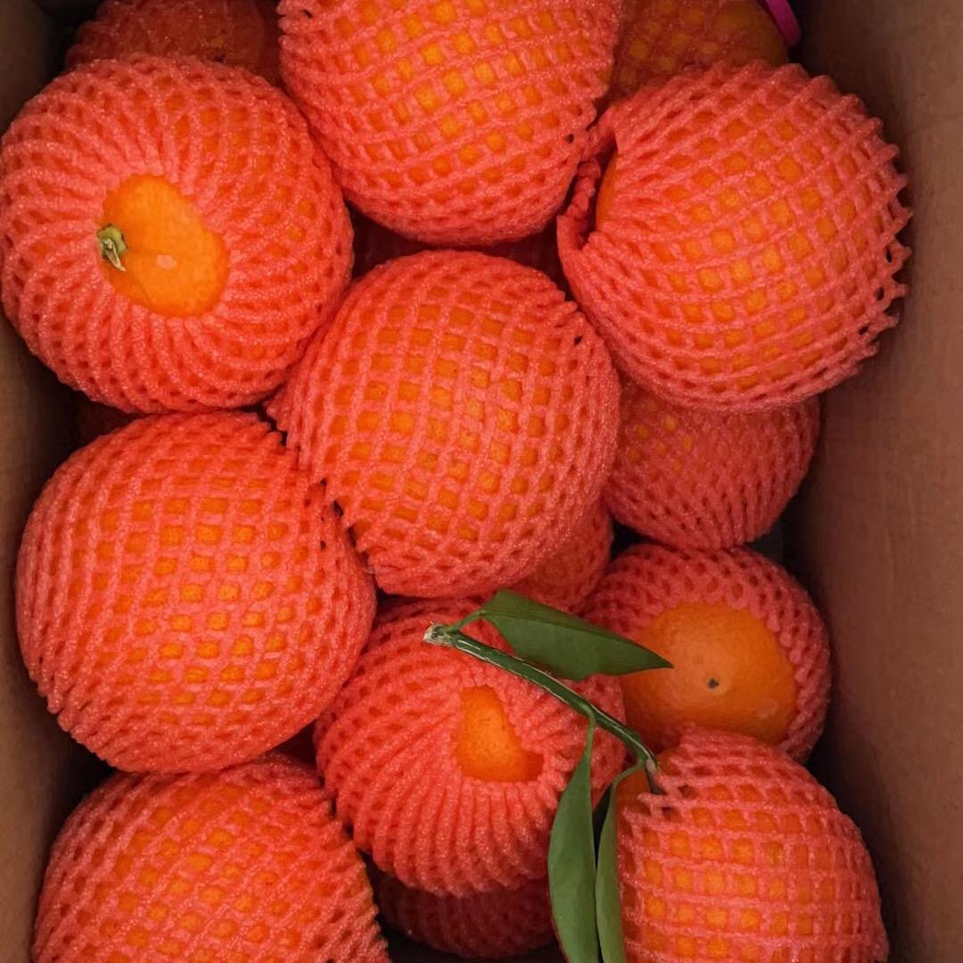 芳姐养殖场