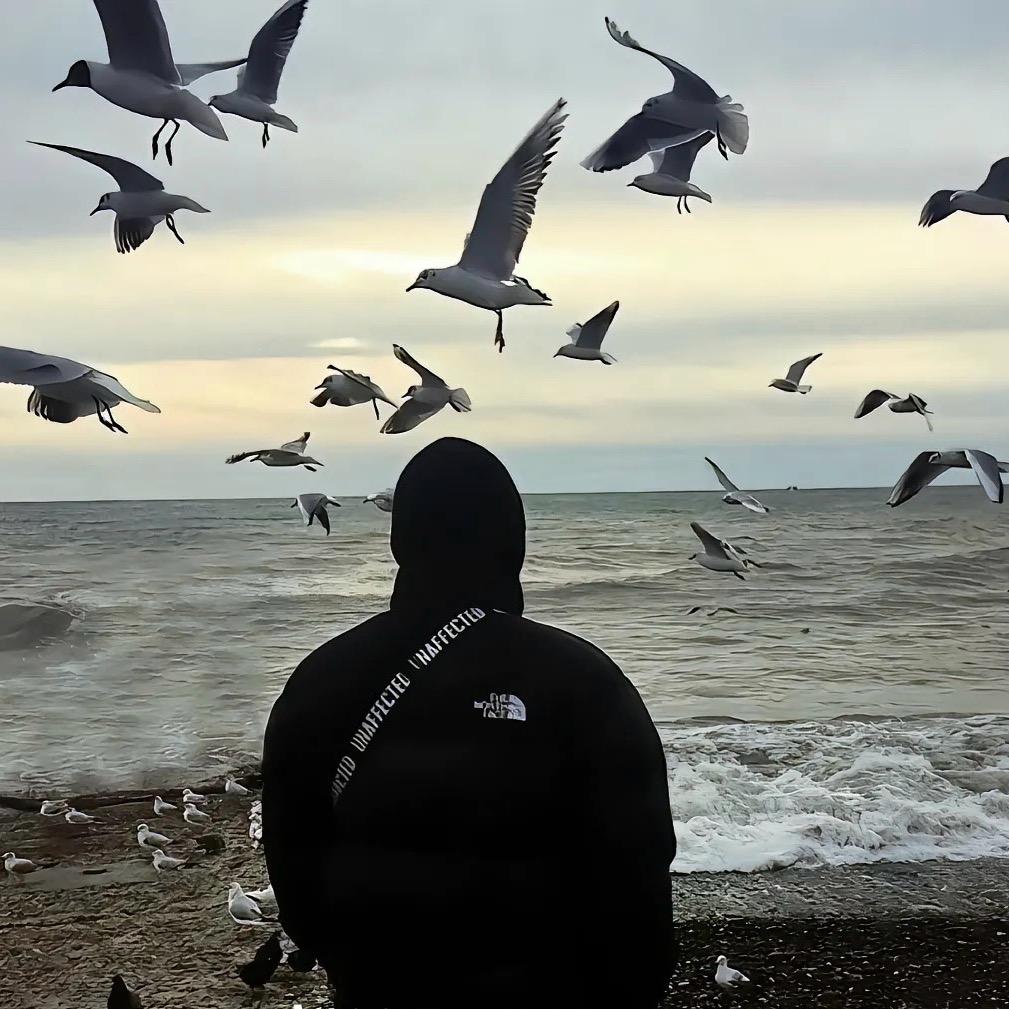 布川内酷🍡⁹⁵⁶