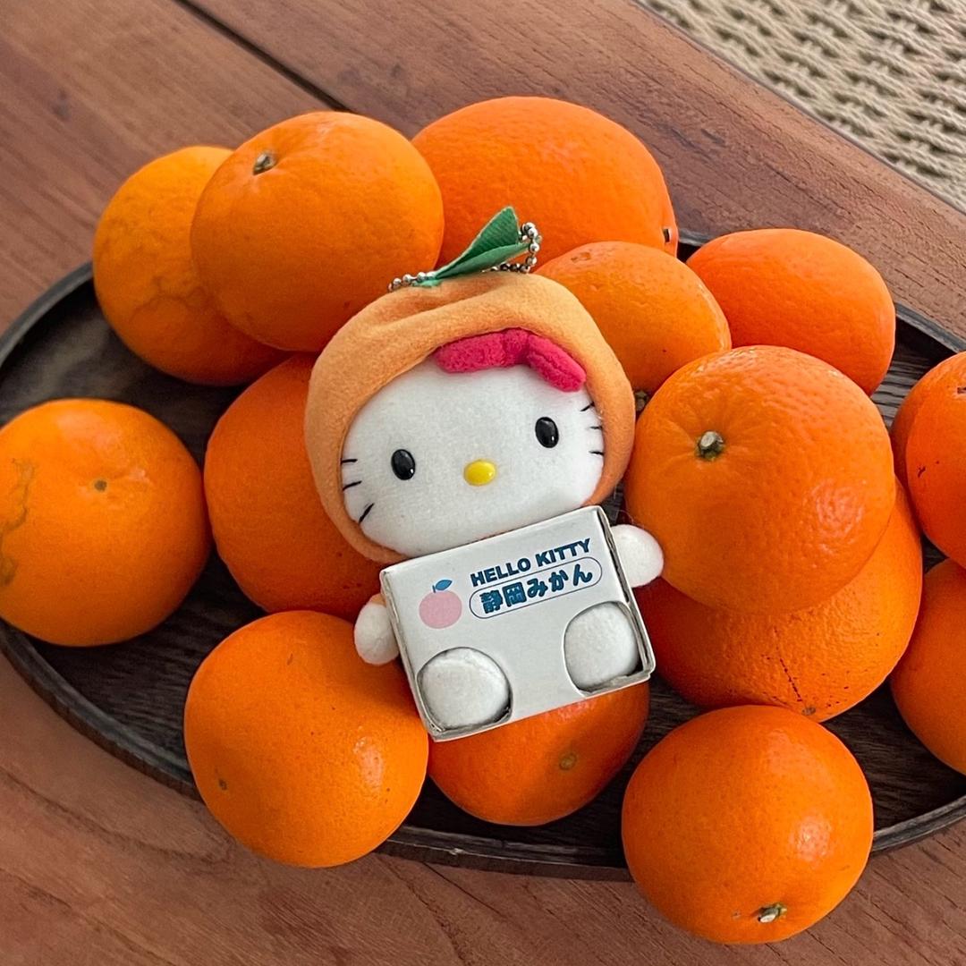 小橙子🍊的捕猫铺