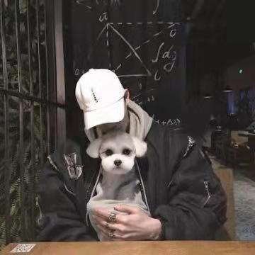 人生若只如初见。