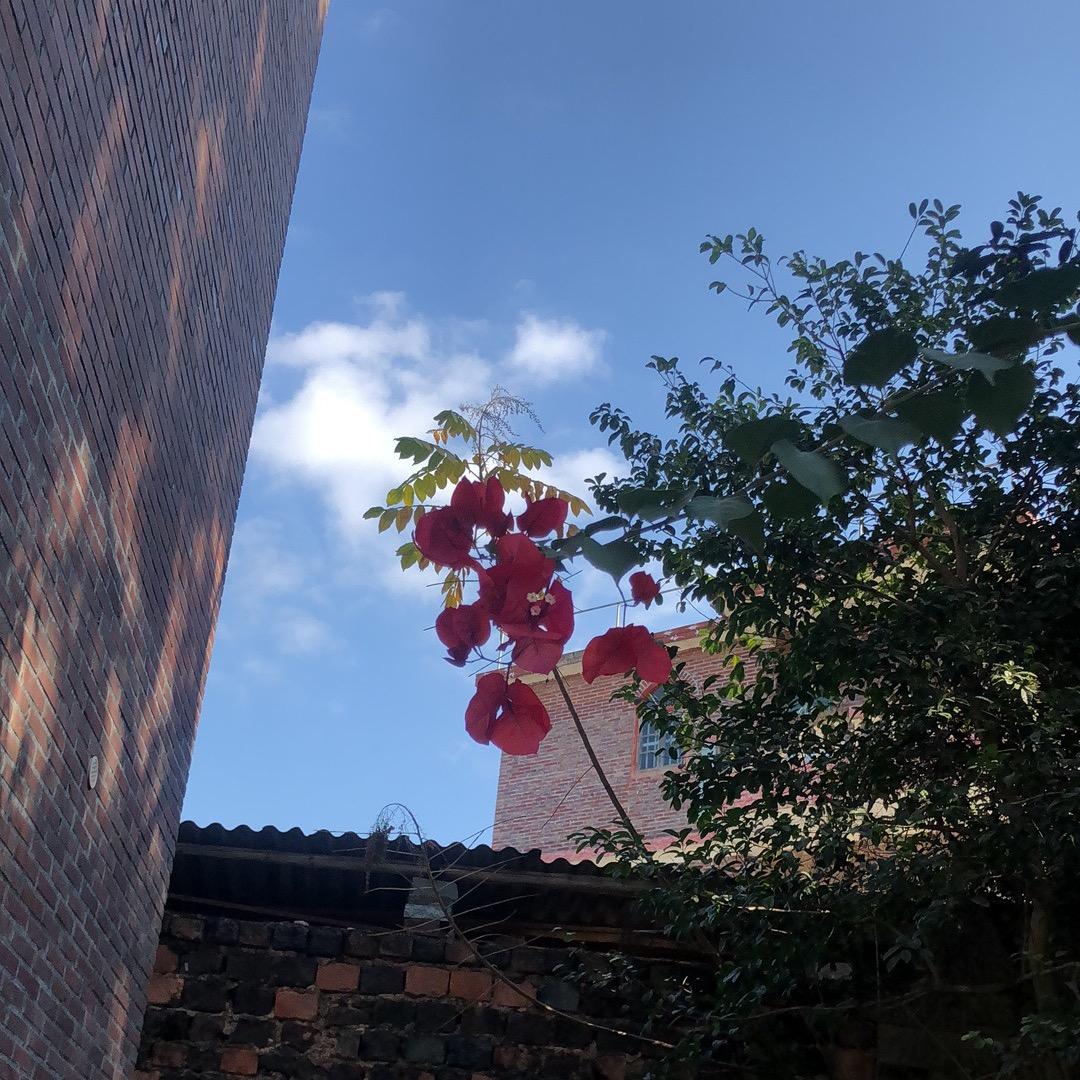 小褚同学