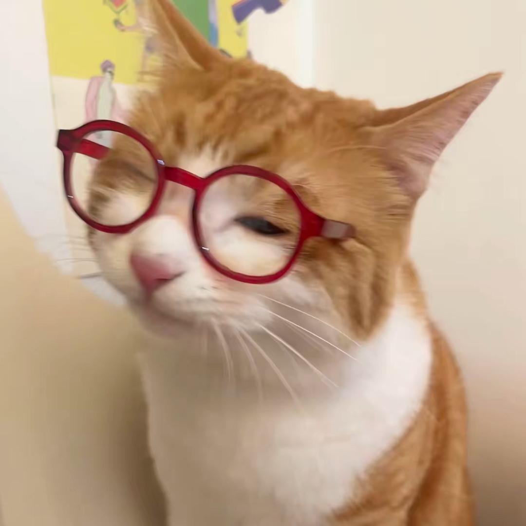 小猫大胃袋