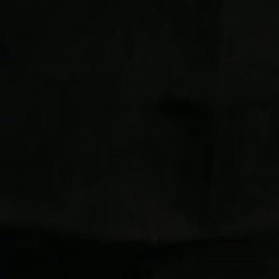 88297905834