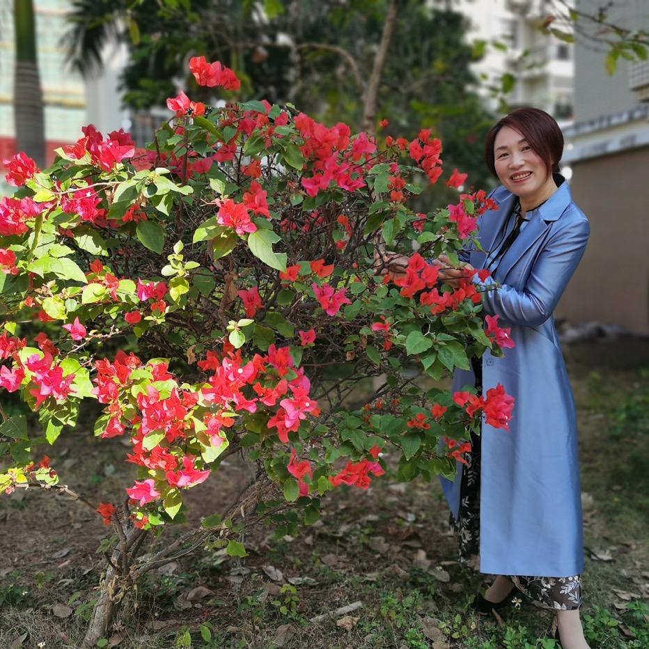 兰花草