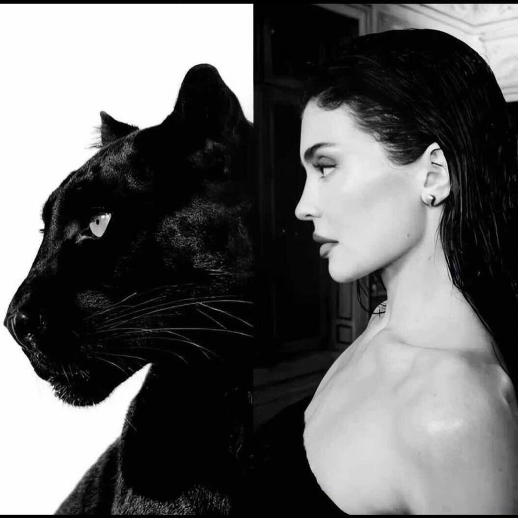 𝓡𝓪𝓫𝓲𝔂𝓪