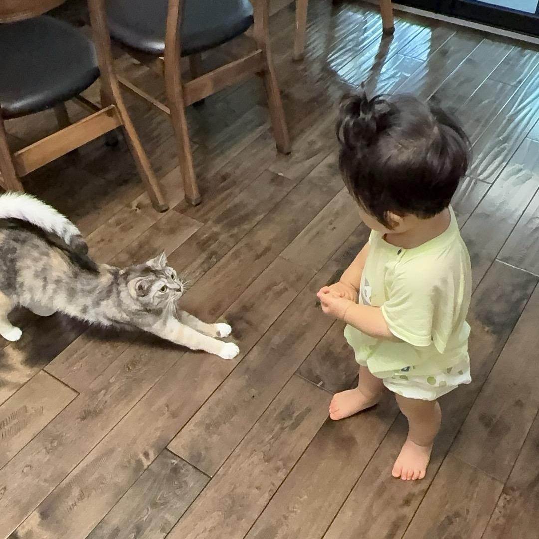 每天都不想上班系列