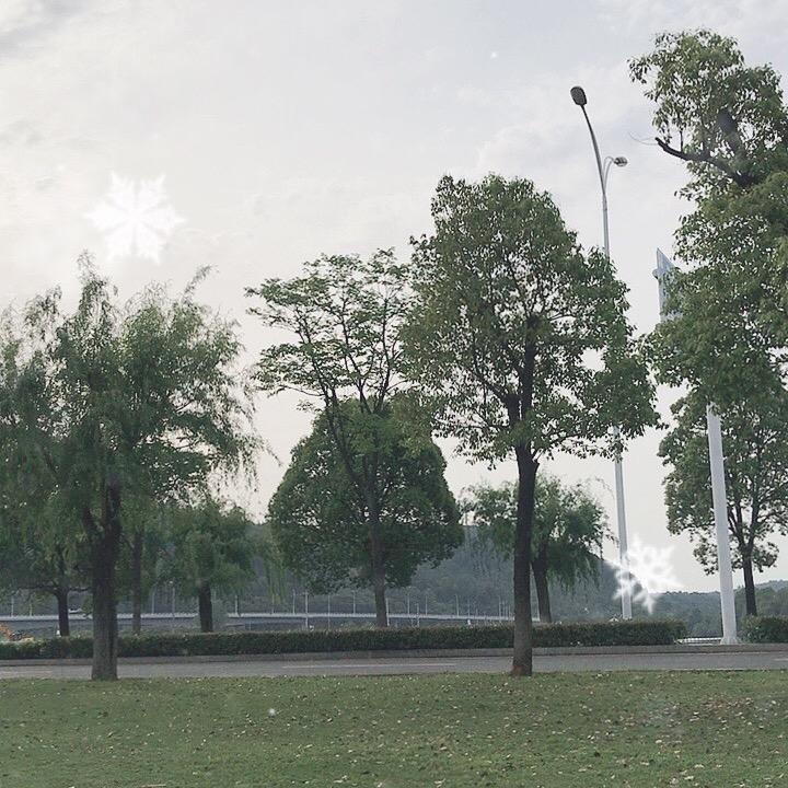 微乐大师