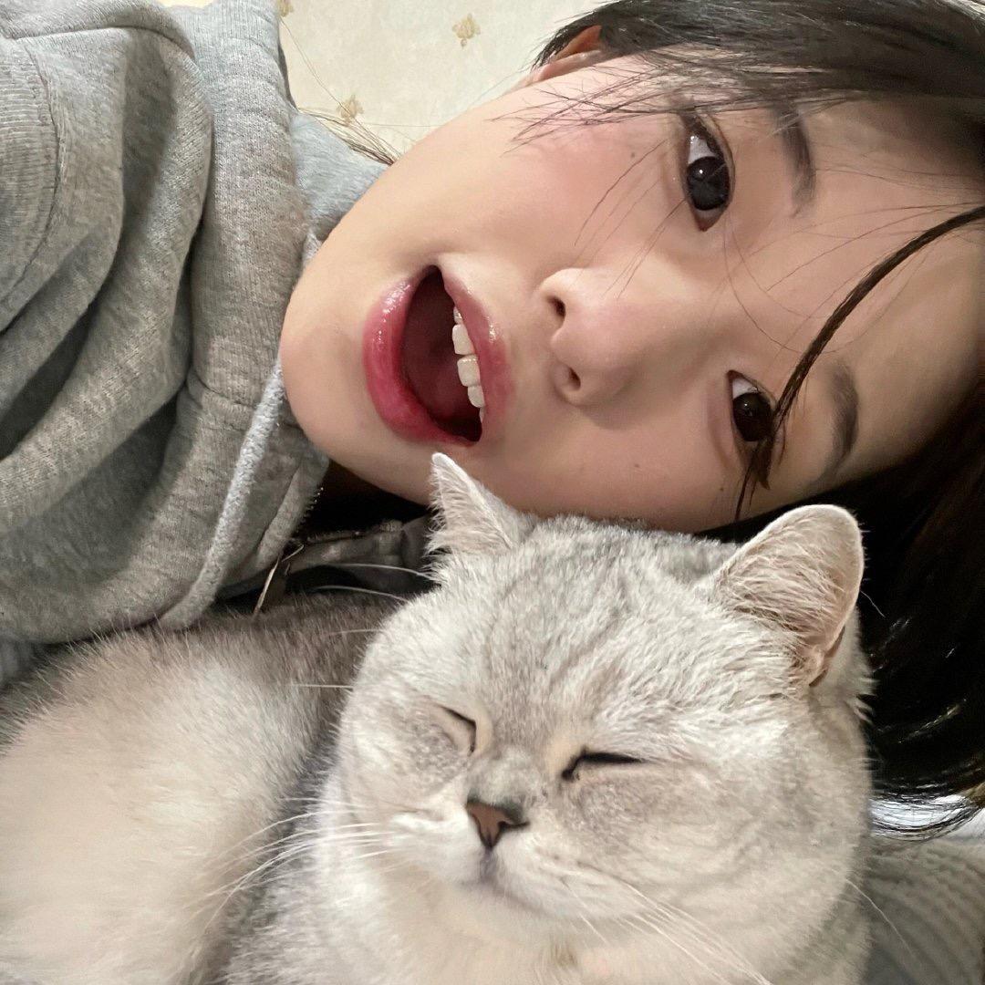 如你怀抱