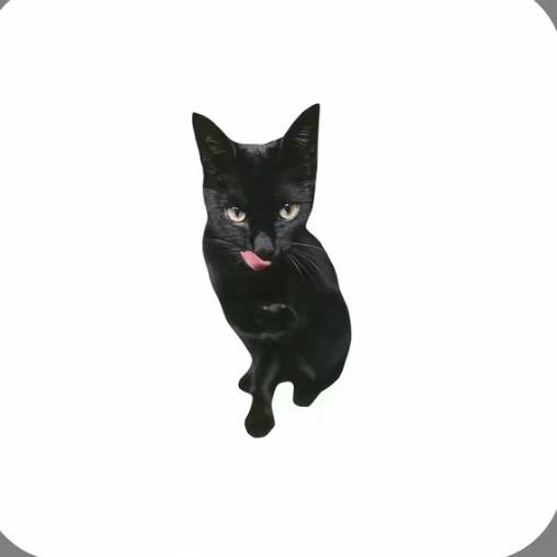 吕小布