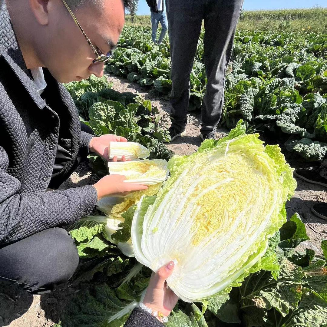 杜学成🥬🇨🇳