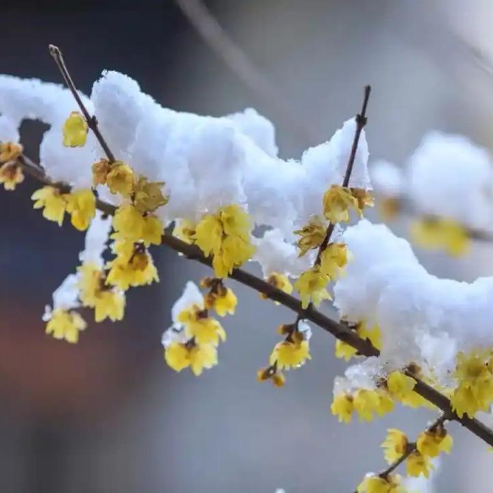 ～上&上^_^签🤞