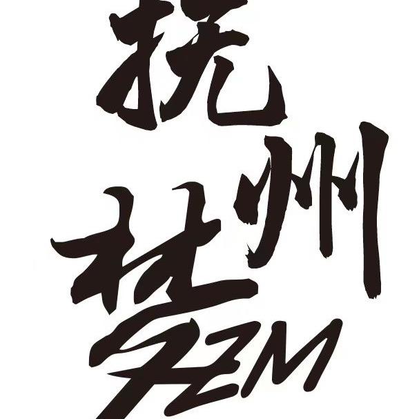 FZM龙膜第一视角洗车贴膜