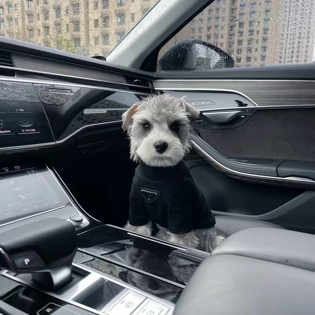弥勒租车小雲🚗