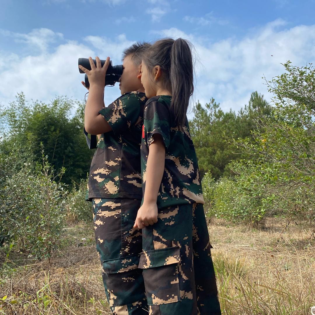 硕硕业余找蜂(指挥官)