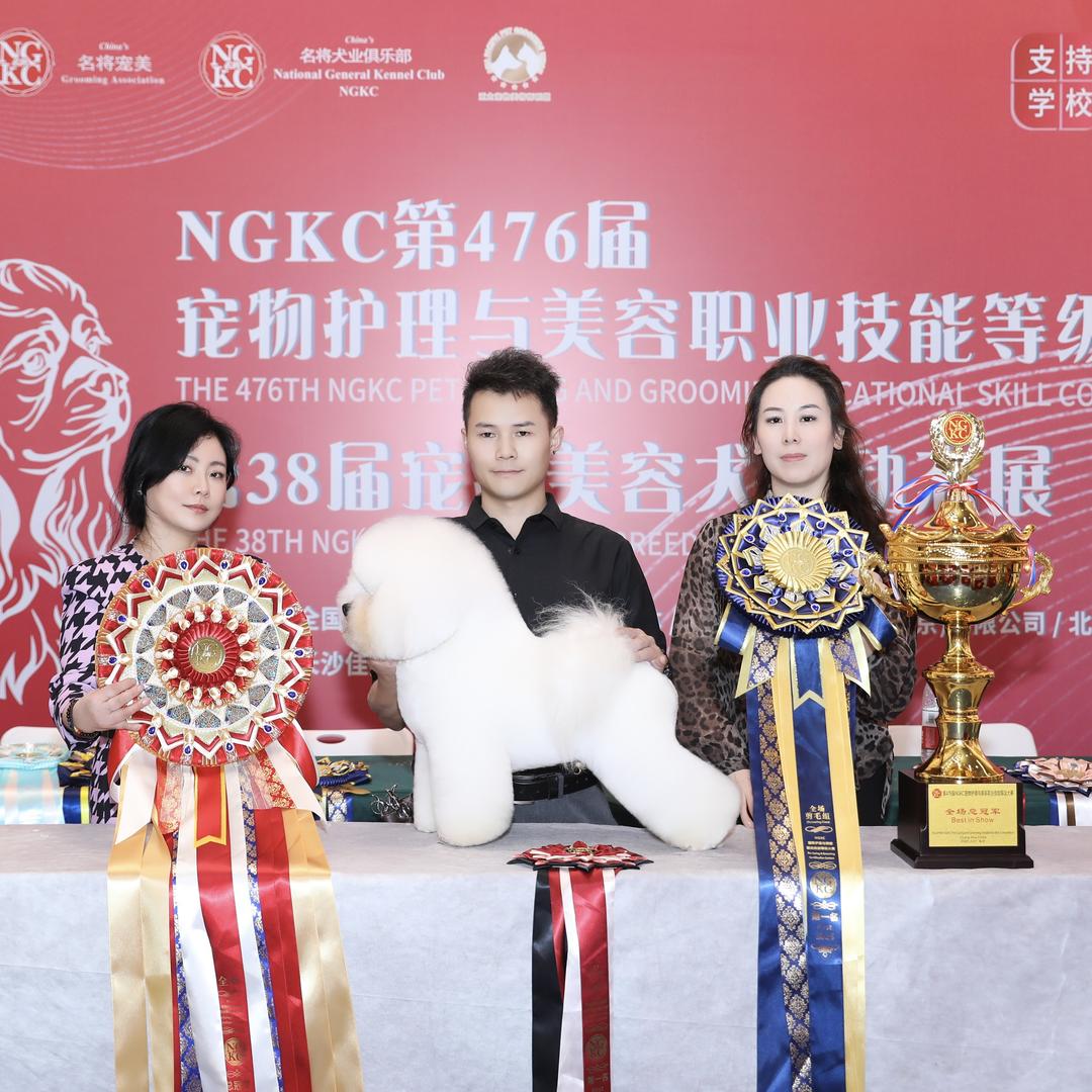 贵阳C宠pet-show官方号