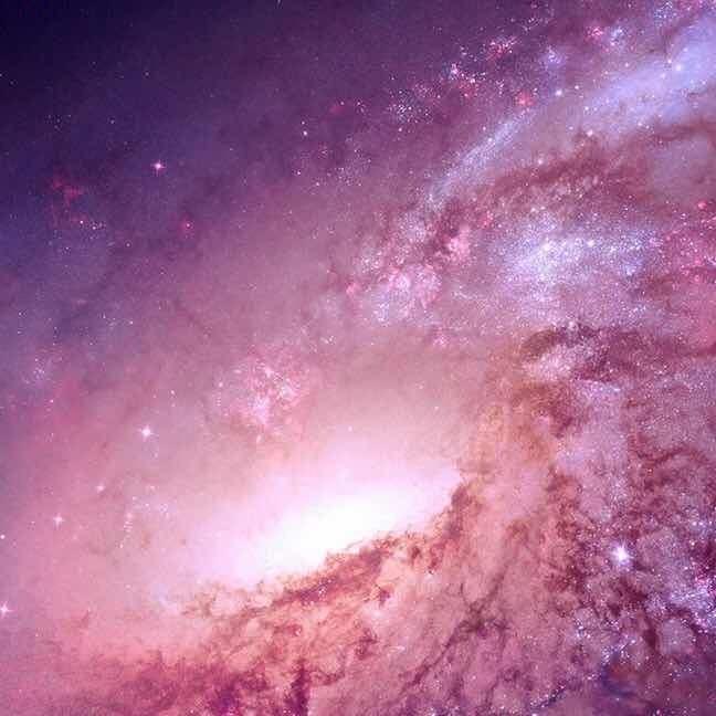 起个名字好难。